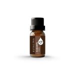 Karanfil Yağı 10 ML